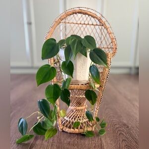 Vintage Mini Peacock Chair for Dolls or Plant Stand Boho Wicker Rattan